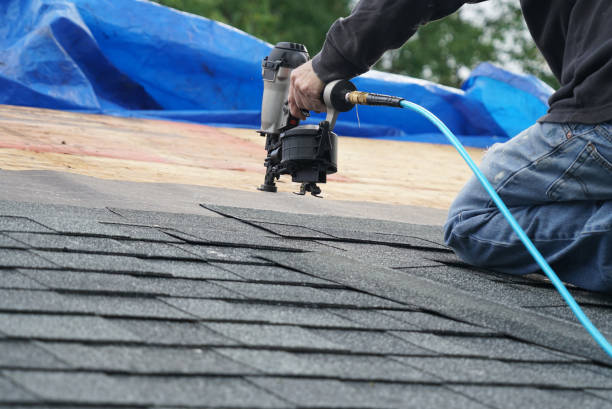 Roof Gutter Cleaning in Cementon, PA