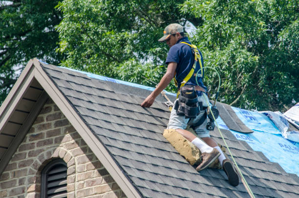 Residential Roof Replacement in Cementon, PA